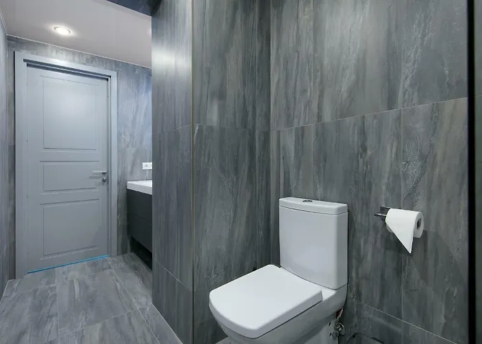 Viru Lux Apartament *