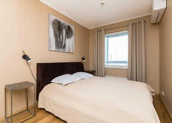 Viru Lux Apartament *